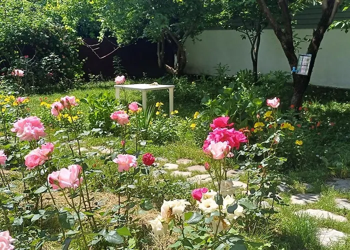 Gabala Confort House