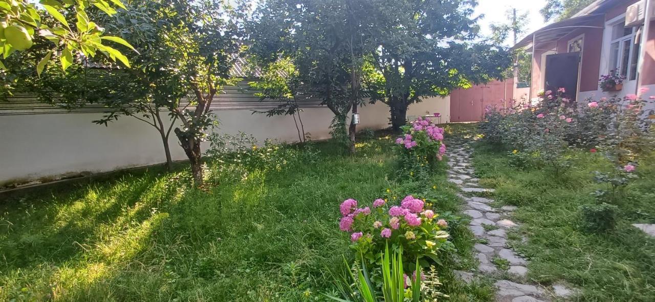 Villa Confort House *